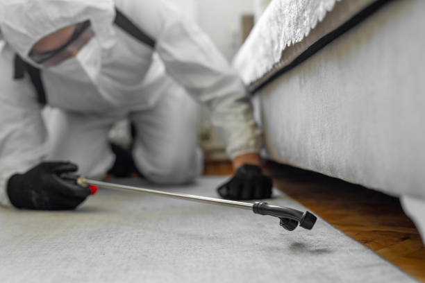Professional Cockroach Control technician working in New Pekin, IN