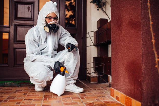 Reliable Cockroach Control contractor in New Pekin, IN by Nex Pest Control
