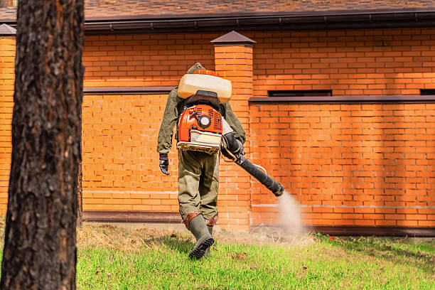 Trusted Rodent Control service in New Pekin, IN - Nex Pest Control